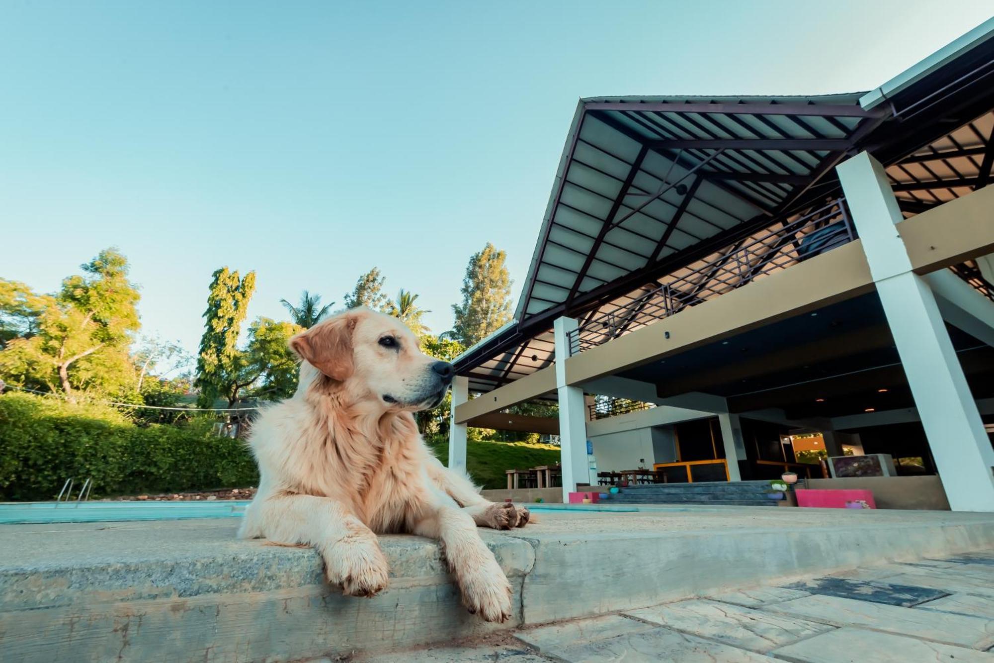 Commune18 Spa Resorts Chikmagalur Luaran gambar